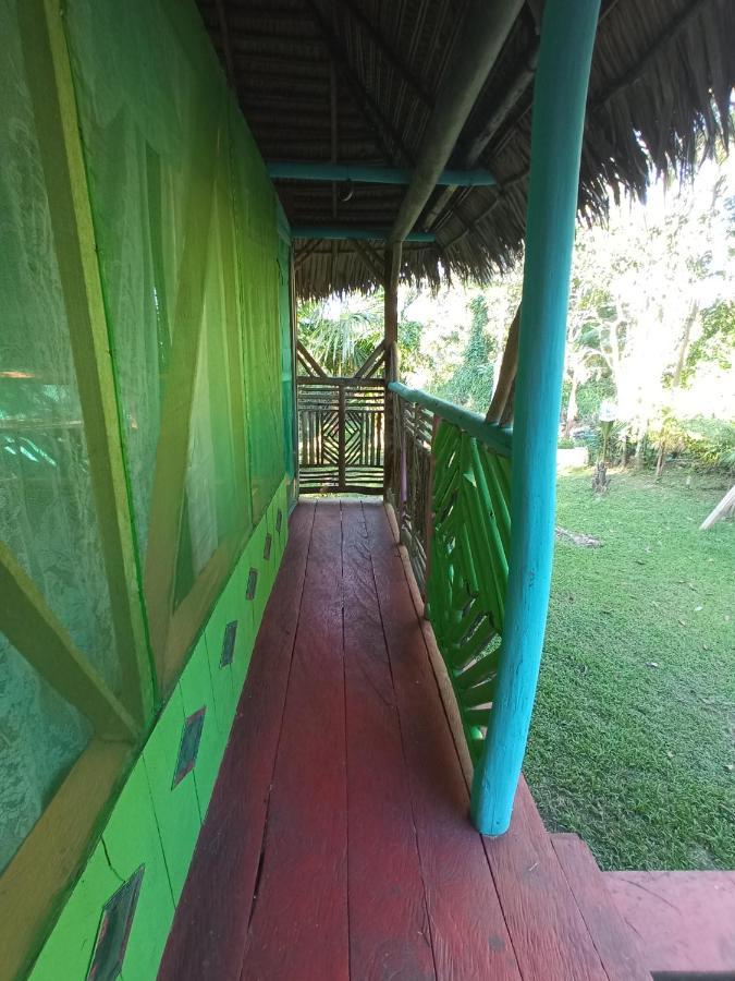 Hostal Buho Amazonas Tours Leticia Buitenkant foto