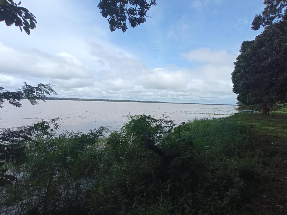 Hostal Buho Amazonas Tours Leticia Buitenkant foto